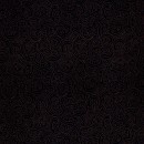 Ponga Koru Col. 104 Black